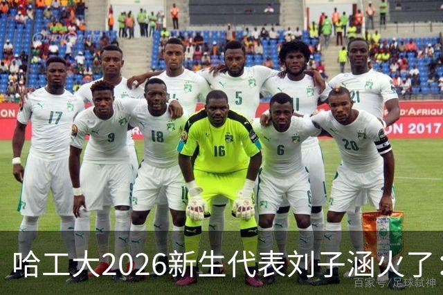 哈工大2026新生代表刘子涵火了：他来自吉林四平，705分全省第14